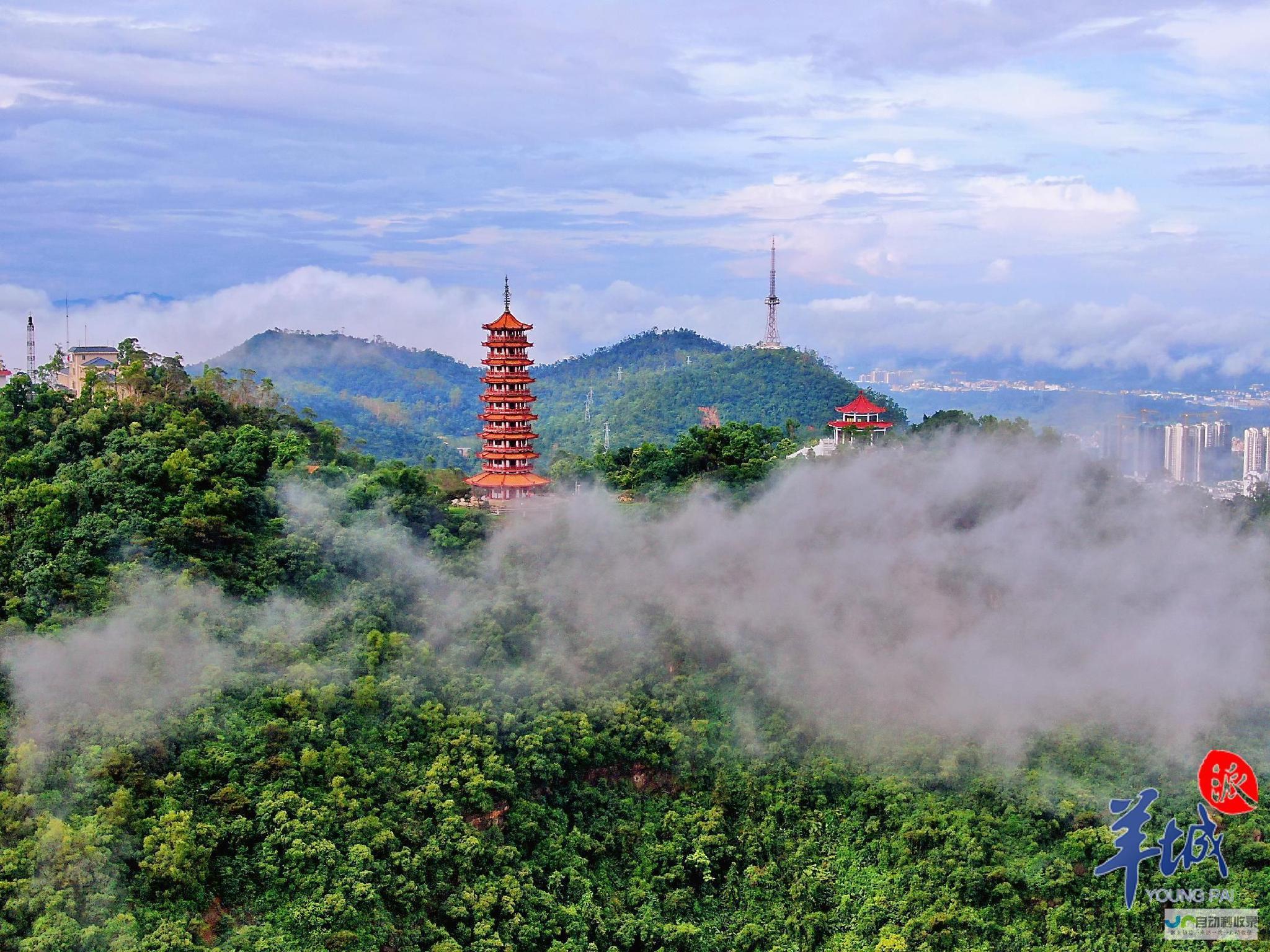 鹤山站长网：您的鹤山网络推广与优化专家